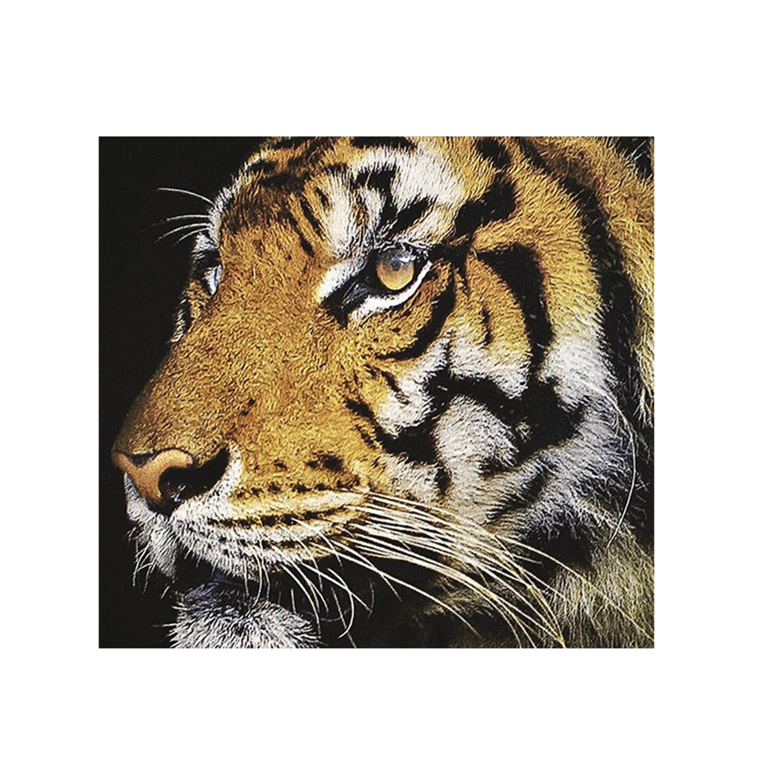 MagnaPrint HB Opaque